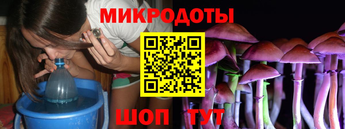 Псилоцибиновые грибы мицелий Кыштым